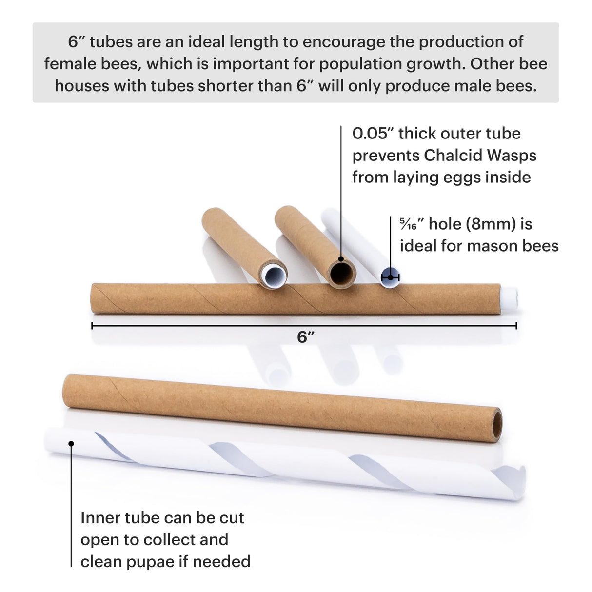 WHITEHORSE Premium Cedar Bee House - 6” Long Replaceable Tubes - Perfect for Mason Beekeeping - an Insect Hotel Built to Last - Support Bees While Pollinating Your Garden (Paper Tubes) WHITEHORSE