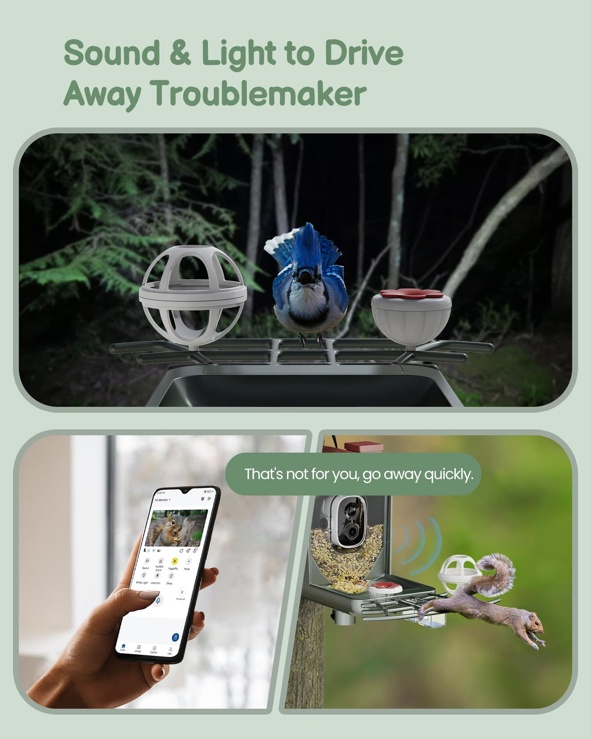 PEEIPM Bird Feeder with Camera Solar Smart Bird House with Camera Outdoor Garden Feeders for Bird Auto Capture Bird Videos Wild Birds Watching Cam 2K Resolution AI Recognition Visible Window PEEIPM
