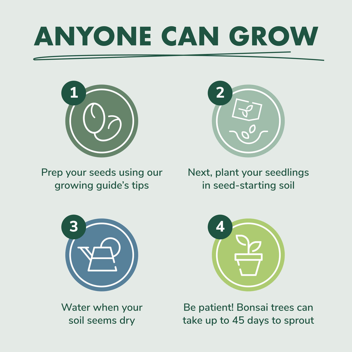 Bonsai Tree Kit - Grow 3 Mini Bonsai Trees, Indoor Plant Growing Kit - Bonsai Starter Kit with Bonsai Seeds, Soil, Planters & Shears, Gardening Gifts for Women, Fathers Day Gardening Gifts · GARDEN REPUBLIC ·