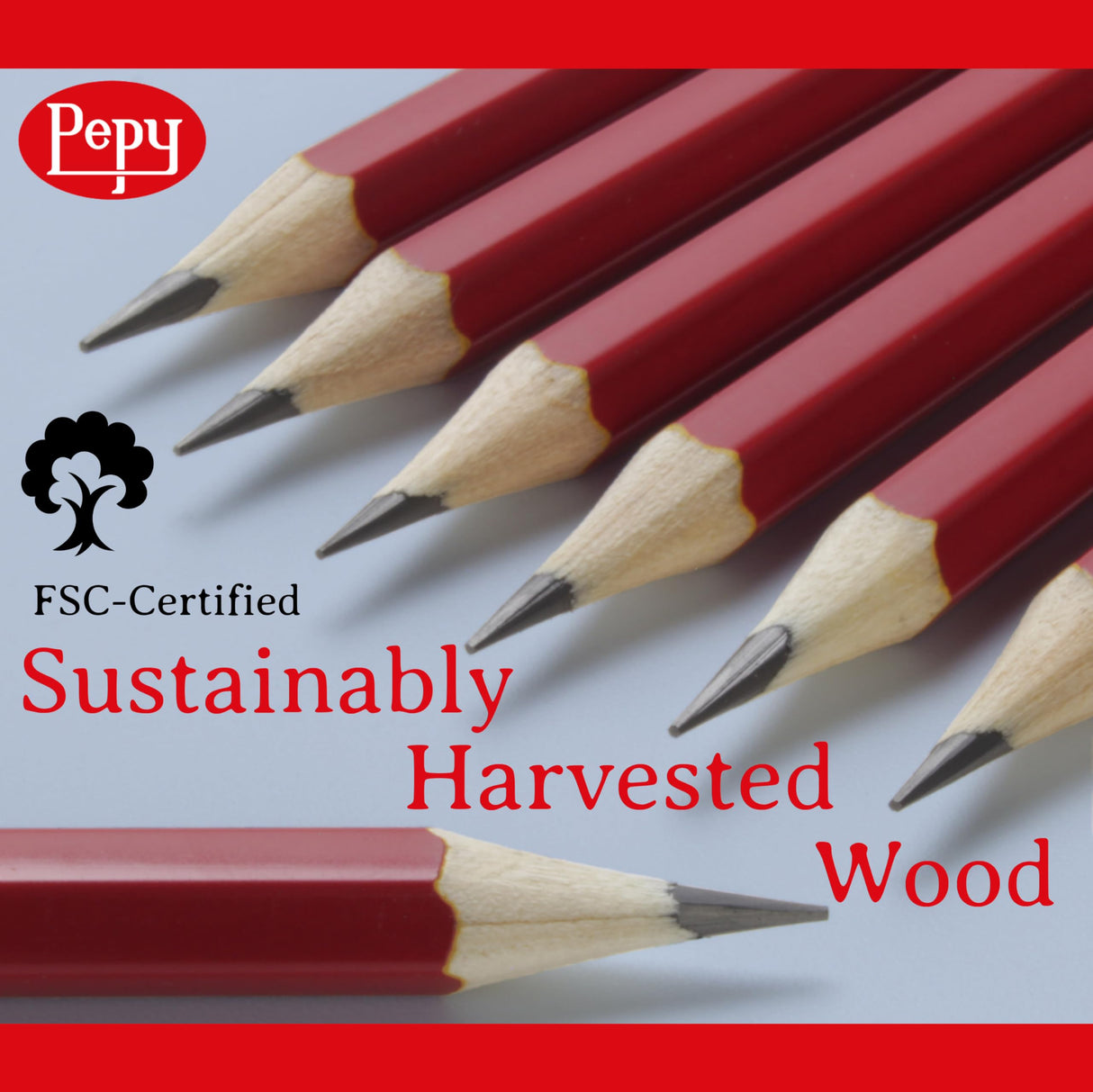 Pepy Graphite Professional Drawing Pencils - Set of 12 6B Pre-Sharpened Black Lead Pencils; Perfect for Drawing, Sketching and Shading, Graphic and Fine Art Pepy