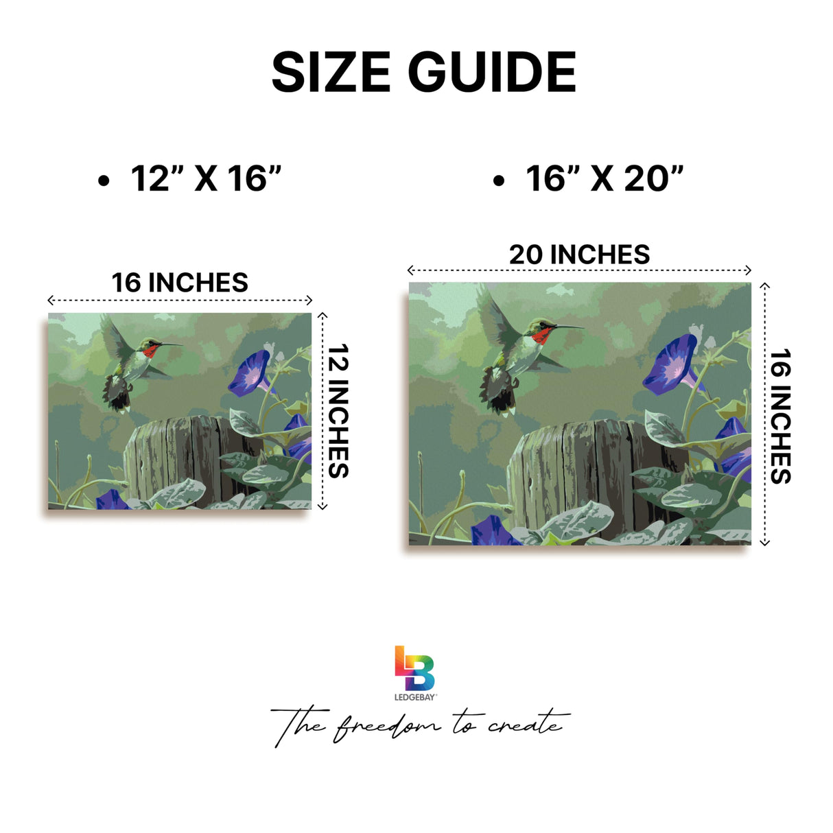 Ledgebay DIY Paint by Numbers Kit for Adults Framed Canvas Beginner to Advanced Paint by Numbers Kit, Kits Include Acrylic Paint Set, Brushes & Tabletop Easel (Hummingbird 12" x 16" Framed) Ledgebay