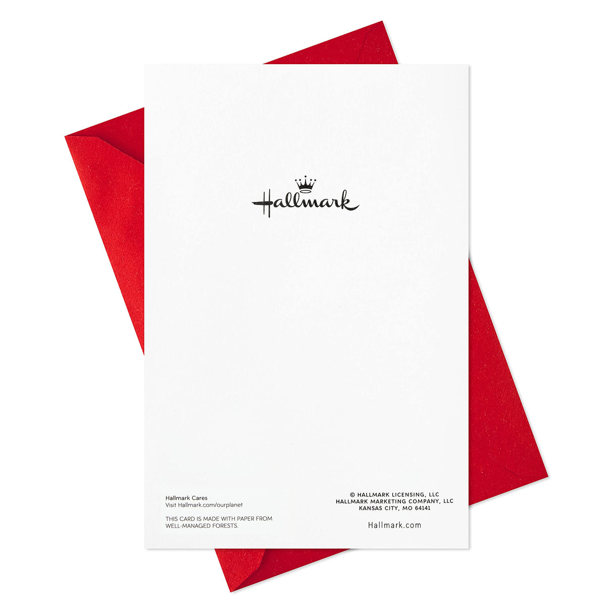 Hallmark Boxed Christmas Cards, Green and Gold (40 Cards with Envelopes) Hallmark