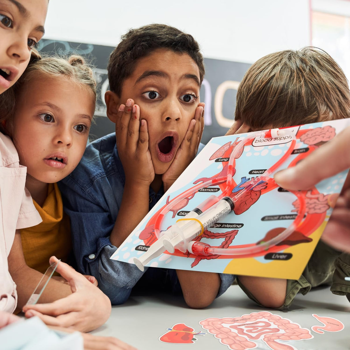 Human Body Activities & Experiments Science Kit for Kids,Human Anatomy Body Parts with Broken Bones X Ray,Lung Breathing Model, Vessels, Digestive System,Muscles Model,Skeleton,Human Organ STEM 5+ VMNlooking