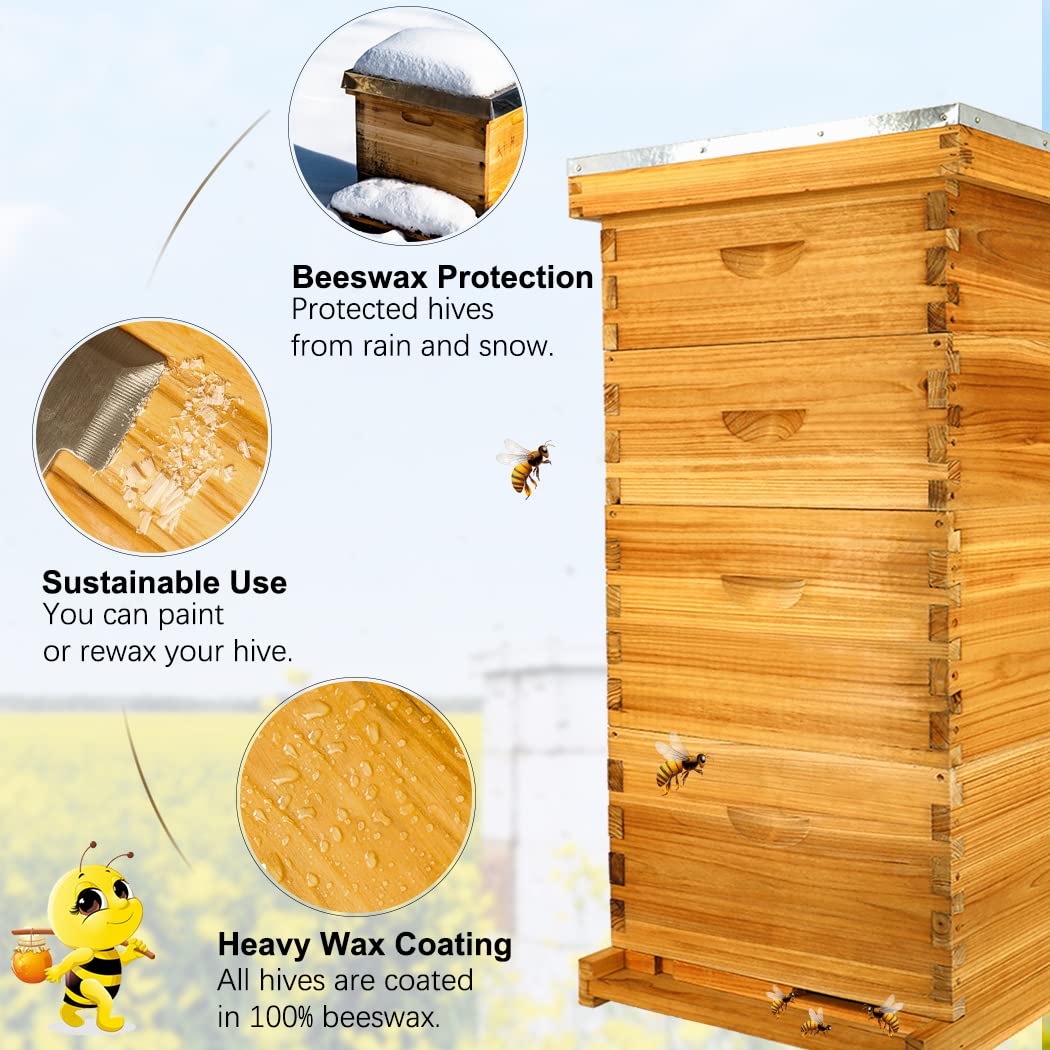 MayBee 10-Frame Langstroth Beehive Dipped in 100% Beeswax, Complete Bee Hives and Supplies Starter Kit Includes 2 Deep Hive Bee Box and 2 Bee Hive Super with Beehive Frames and Foundation MayBee