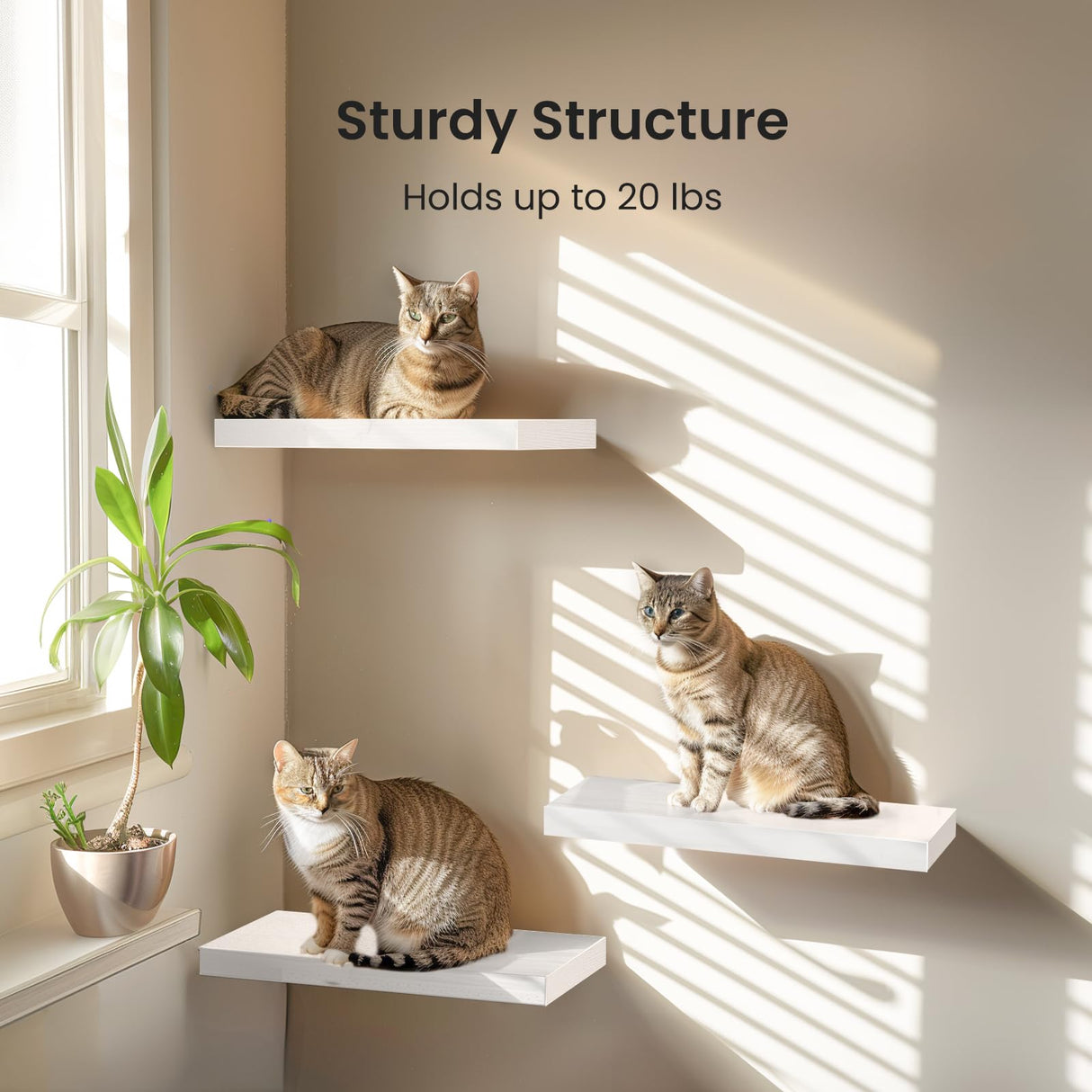 AMADA HOMEFURNISHING Floating Shelves, Wall Shelves for Bathroom/Living Room/Bedroom/Kitchen Decor, White Shelves with Invisible Brackets Set of 3 - AMFS08 AMADA HOMEFURNISHING