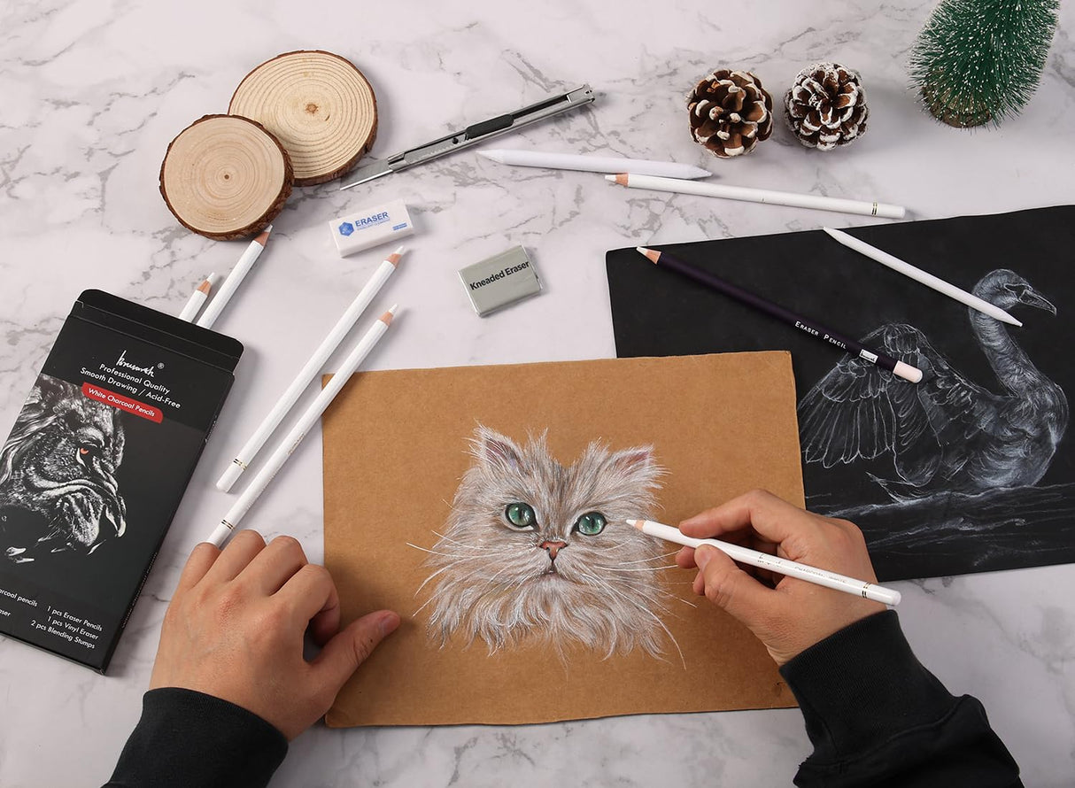 Brusarth White Charcoal Pencils Set - 12 Piece Sketch Highlight White Pencils Set for Drawing, Sketching, Shading, Blending, Artist Pencils for Artists, Professionals or Beginners Brusarth