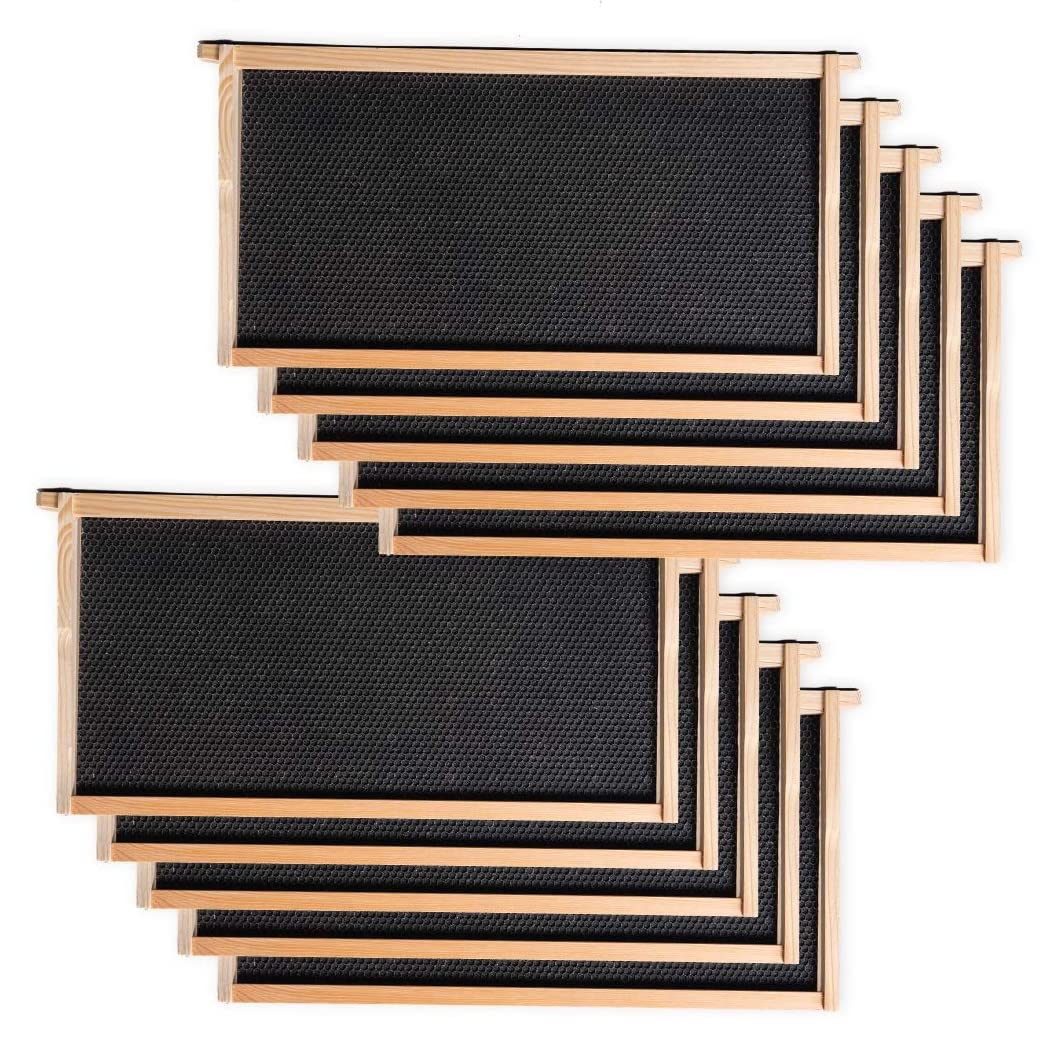 Heavy Wax Coated Unassembled Langstroth Deep/Brood Box with Frames and Beeswax Coated Foundation Sheet (10 Frame) BeeCastle