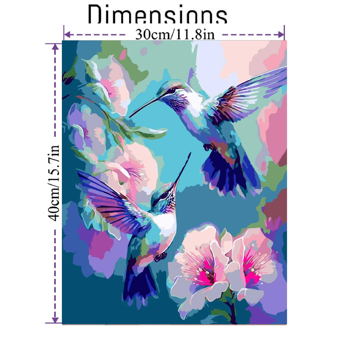 cdjlddww Hummingbirds Paint by Numbers for Adults, Birds Easy Acrylic Adult Paint by Number Kits, DIY Waterproof Birds Paint by Numbers on Canvas for Home Wall Decor Inch16X20 cdjlddww