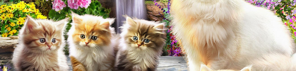 Ceaco - A Purrfect Day - 500 Piece Jigsaw Puzzle Ceaco