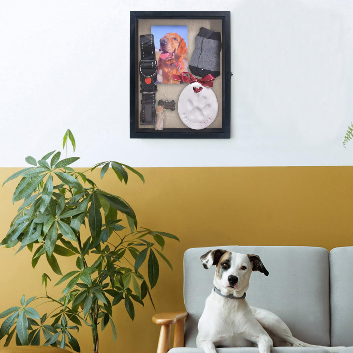 Hodeframe Pet Memorial Shadow Box 11x14, Pet Memorial Dispaly Case Picture Frame Dogs and Cats with Glass Window and for Loss of Dog Cat Passed Away Remembrance Display Case Hodeframe