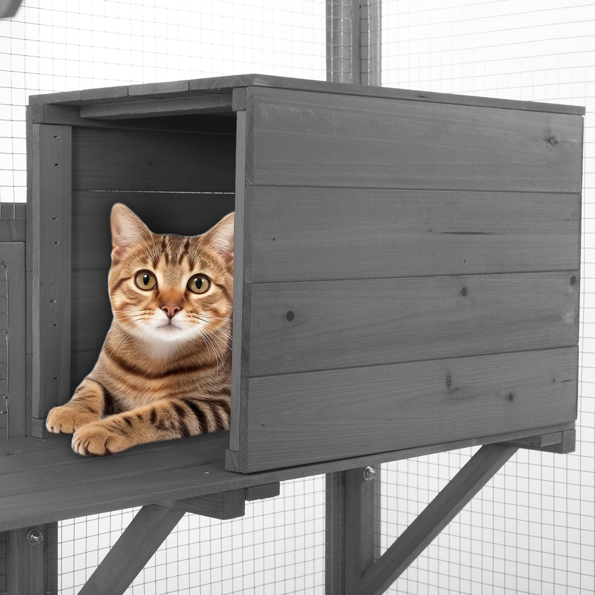 ISDAY Extra Large Outdoor Cat House Wooden Cat Cage Waterproof Roof Catio Outdoor Cat Enclosure - Cat Play & Run Enclosures Cat Playpen Window Cats Crate with 7 Platform and 2 Resting Box (Gray) Generic