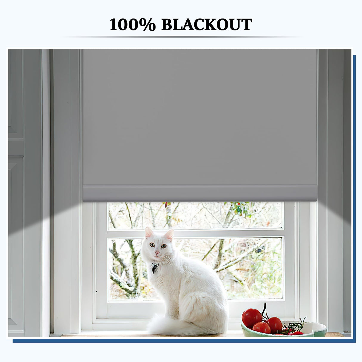 Grandekor Motorized Roller Shade with Remote Control,Motorized Blinds 100% Blackout Electric Shades, Cordless Window Blinds Shades for Bedroom Living Room Office,White,W34 xH72 Grandekor