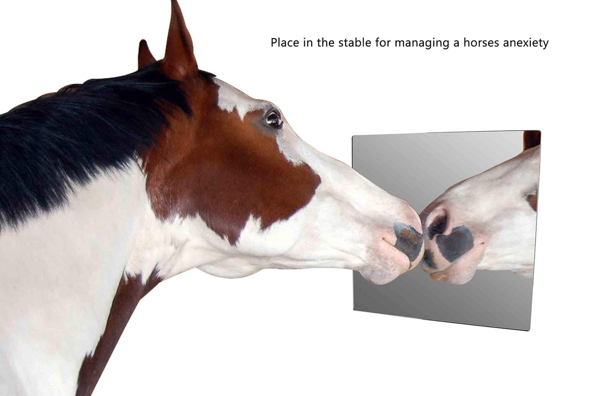 12 x 12 Acrylic Mirror Sheet by Laser Creations Laser Creations