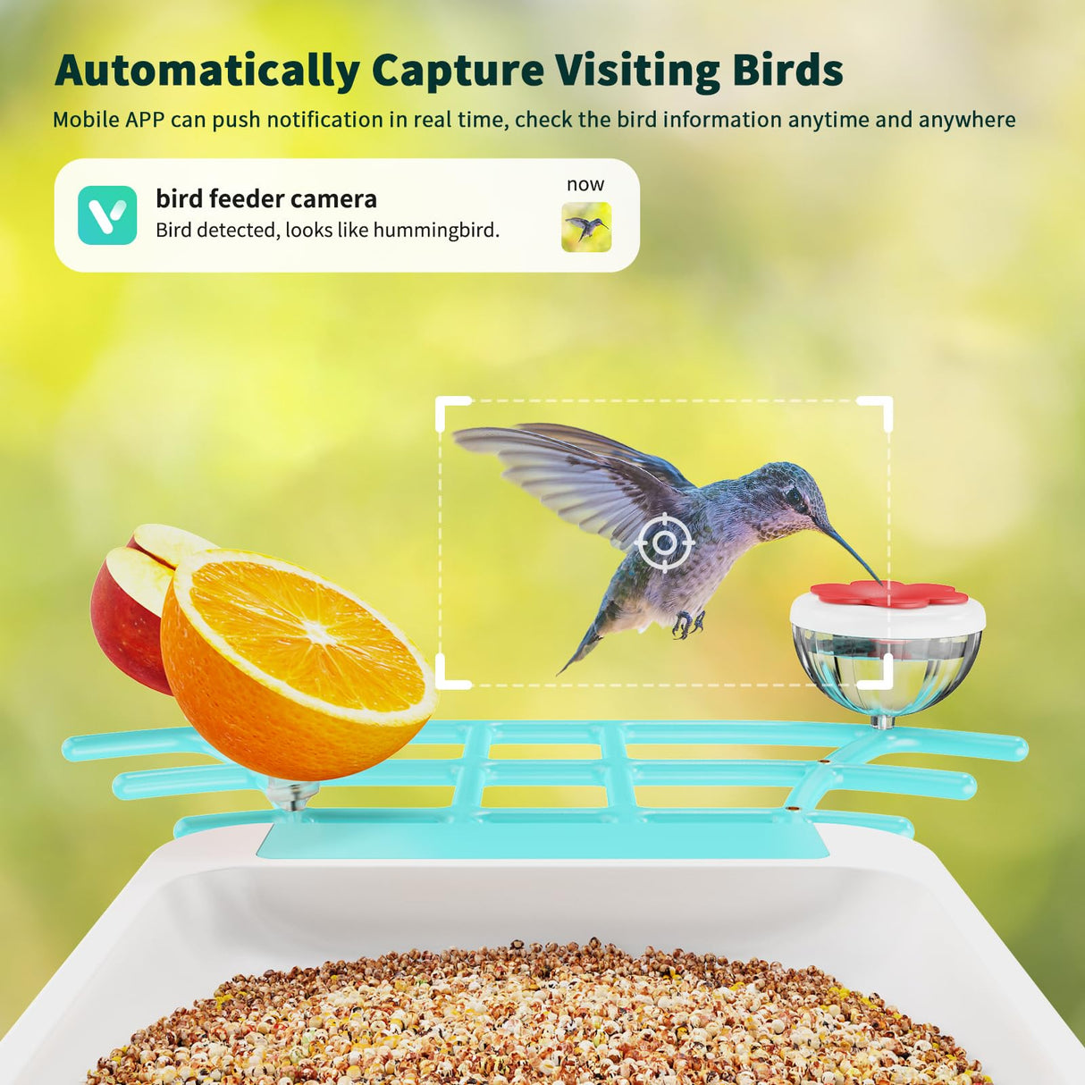 Smart Bird Feeder with Camera, Bird House with Cam with AI Identify Bird Species, Auto Capture Bird Videos & Motion Detection, Real Time Views, Bird Watching Camera Gift for Bird Lover HARYMOR