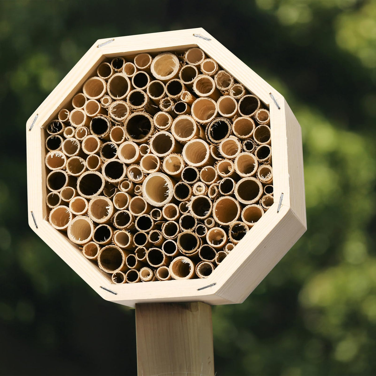 Mason Bee House,Hanging Bee Houses for The Garden, Pollinating Bee House Attracts Peaceful Bee,Insect Observation,Beekeeping Supplies Pumwoy