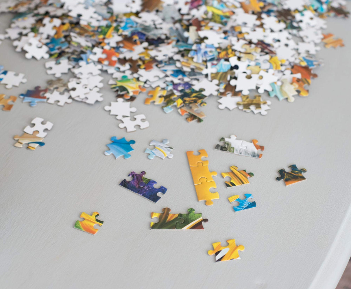 It's A Dragon's World Fantasy Puzzle | Challenging 1000 Piece Jigsaw Puzzle for Adults and Kids | Magic-Themed Brain Teaser | Fun Game Night Activity | Gift for Puzzle Enthusiasts | 28 x 20 Inches Toynk
