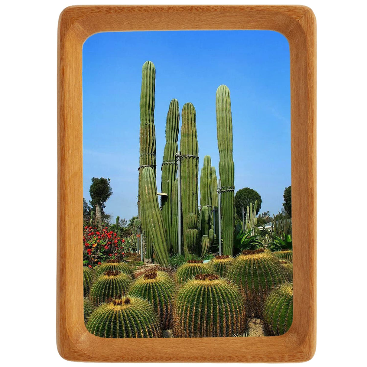 Natural Wood Photo Frames Inspired Tabletop Picture Frame with Mat, Vertical or Horizontal Display (Teak, 4x6 matted to 3x5) WoodArtSupply
