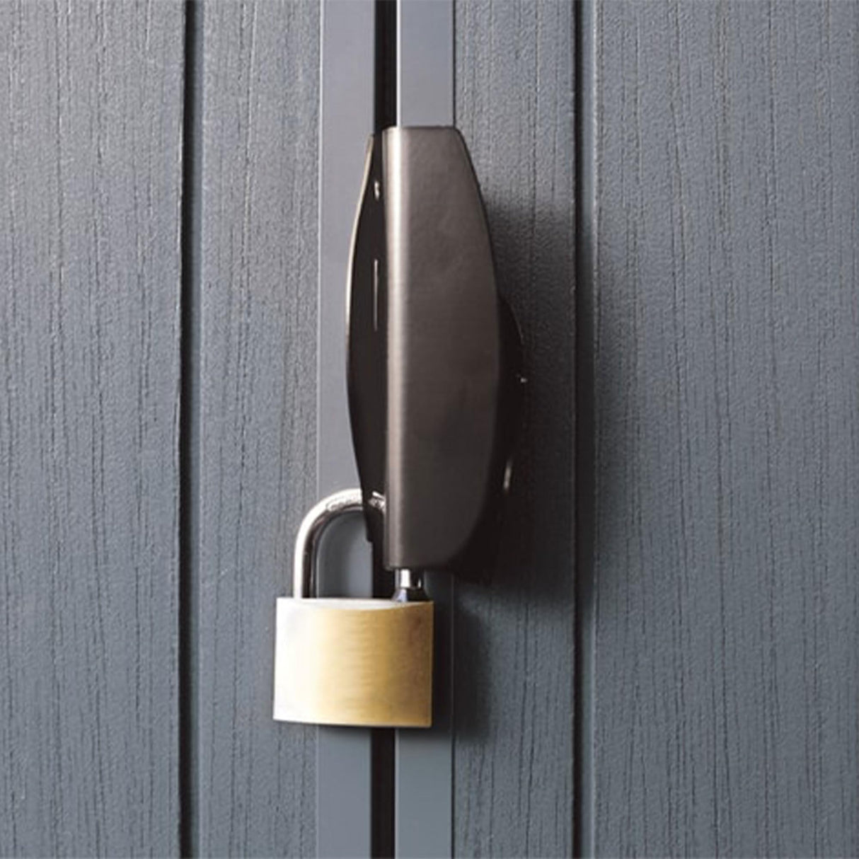 Keter Darwin 6x8 Ft Resin Storage Shed, Graphite Gray – Double Doors with Window & Skylight Keter