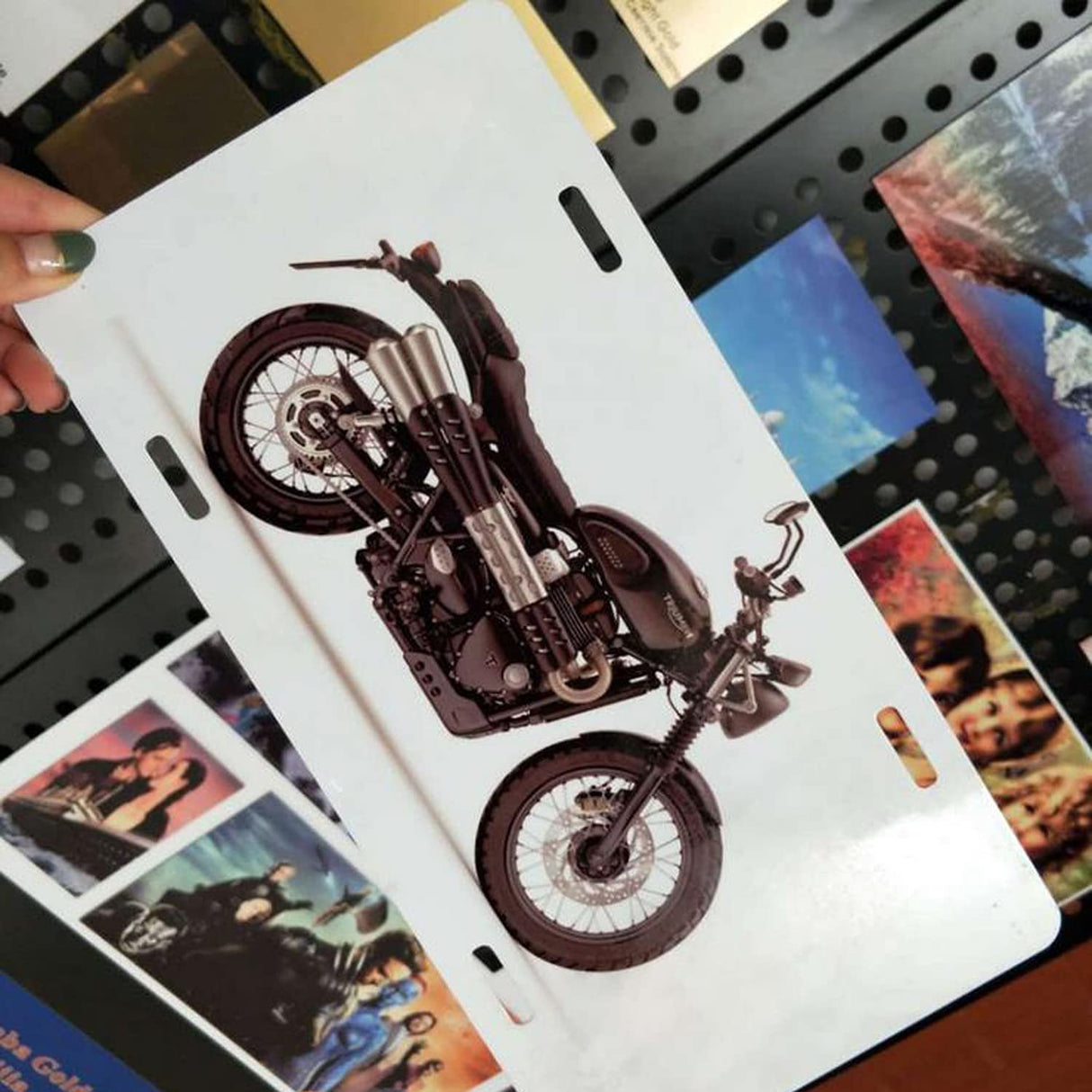 2pcs Sublimation License Plate Blanks, Heat Thermal Transfer Sheet DIY Picture Sublimation Blank, Metal Aluminium Automotive License Plate for Custom Design. (White) WedFeir