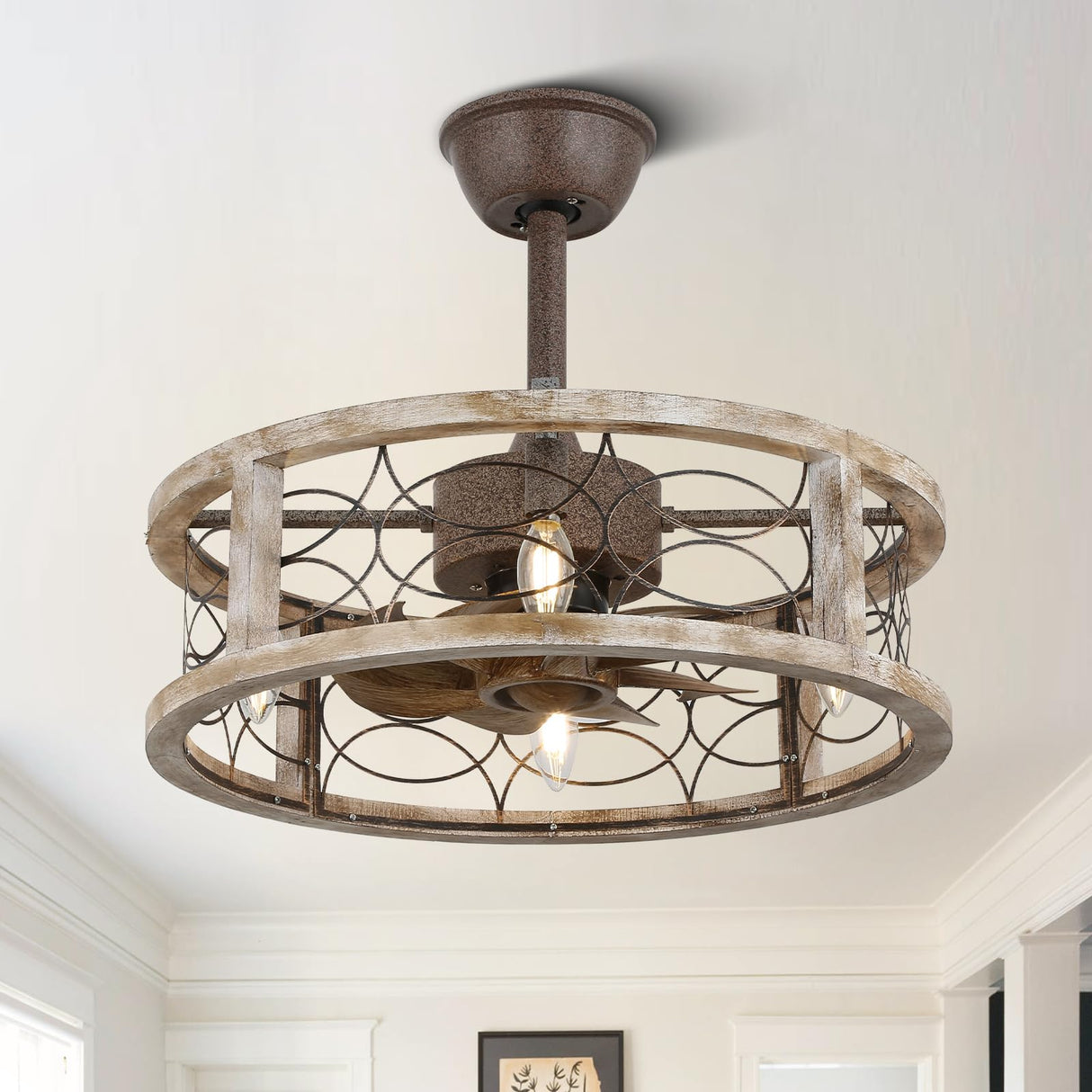 Curve Curio Caged Ceiling Fans with Lights, 18 Inch Farmhouse Ceiling Fans with Lights and Remote, Rustic Industrial Fandelier Ceiling Fan Enclosed for Bedroom Curve Curio