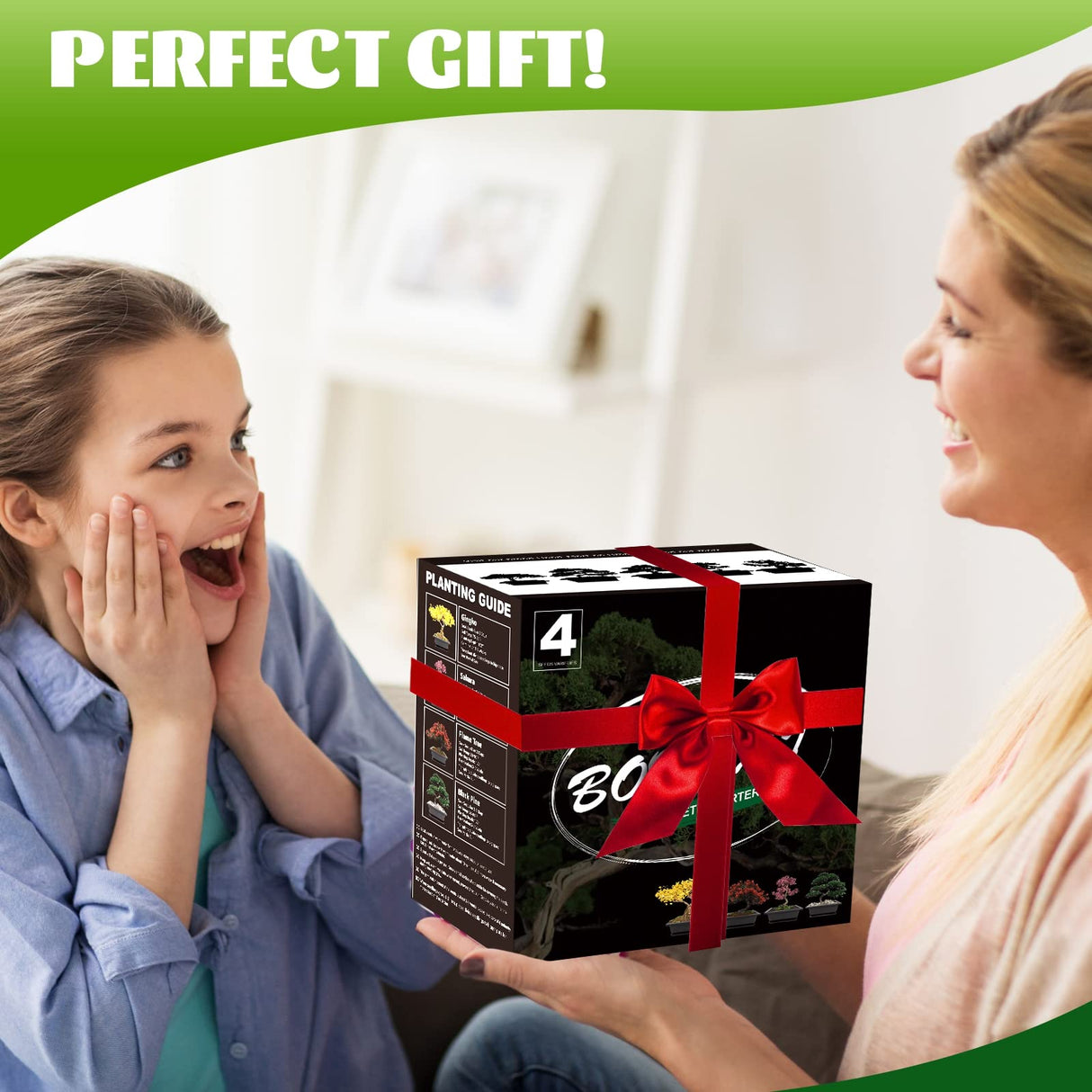 4 Bonsai Tree Seeds with Complete Growing Kit & Wooden Planter Box, Indoor Bonsai Tree Starter Kit, Great Potted Plants DIY Gift for Adults Meekear