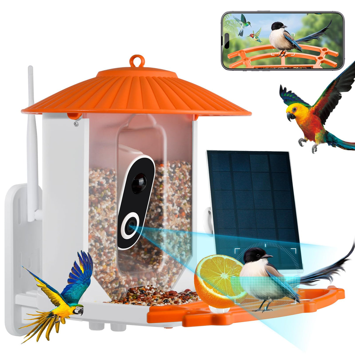 Smart Bird Feeder with Camera, Wireless Outdoor Solar Bird Feeder, Solar-Powered WiFi 1080P Live Camera, Auto Capture & Motion Detection ZENFLIX