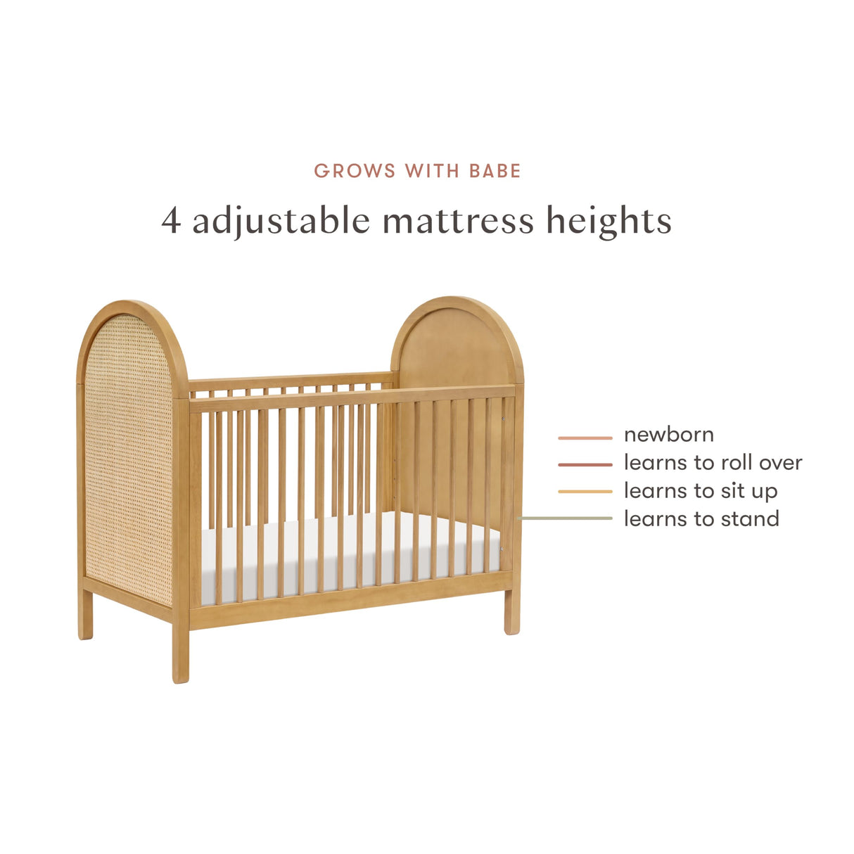 babyletto Bondi Cane 3-in-1 Convertible Crib with Toddler Bed Conversion Kit in Honey with Natural Cane, Greenguard Gold Certified babyletto