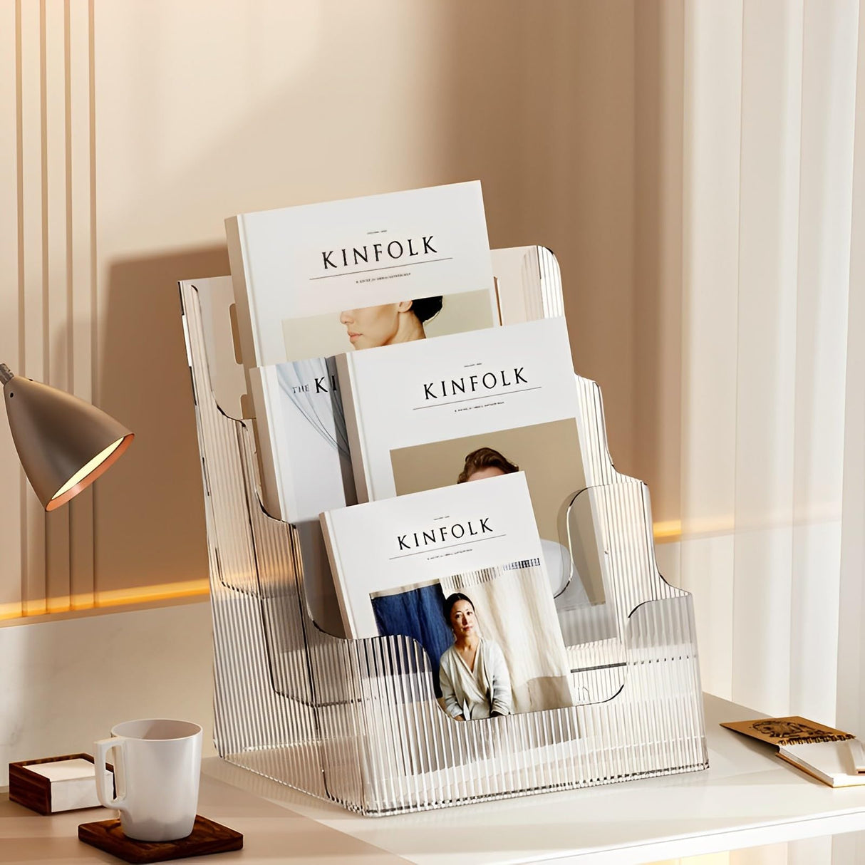 Gagee 2 Pack Brochure Display Stand or Wall Mount 8.5 x 11 inch,3 Tier Magazine Holder,Clear Stands for Display Literature,Brochures,Pamphlet,Flyer,Paper Document Gagee