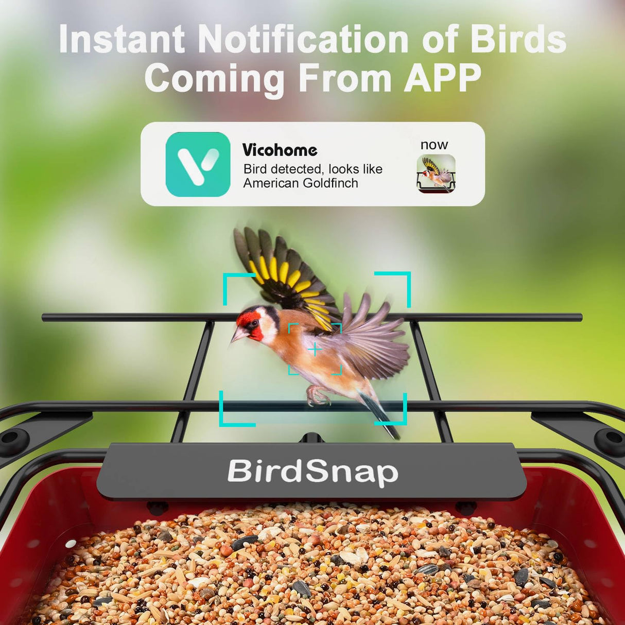 birdsnap® APS - Metal Bird Feeder with Camera Solar Panel 32GB Card, AI Identify 10000+ Birds Camera Feeder, 2K HD Live View Auto Record Bird Video, Ideal Xmas Gift for Bird Lovers birdsnap