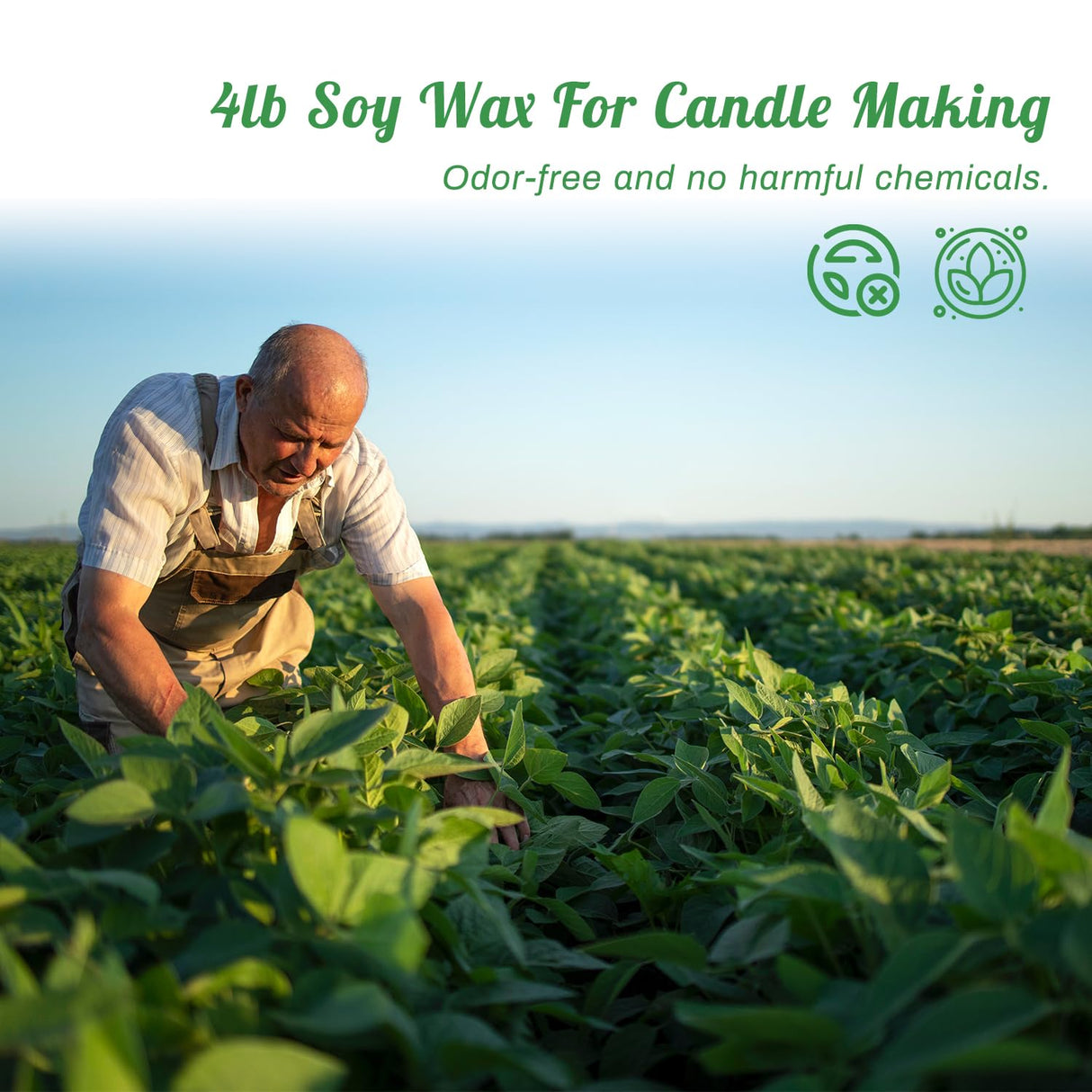 Soy Wax Candle Making Kit with Digital Wax Melter, Natural 4lb Soyawax for Candle Makingt to Make Your Own Candles Handnatur