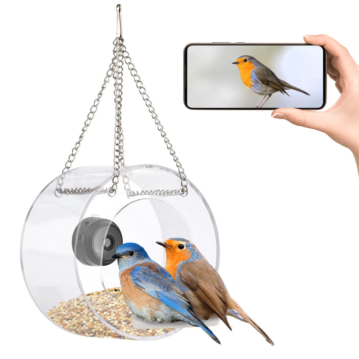 Bird Feeder with Camera Smart Backyard House Camera with Live View Instant Arrival Alerts Auto Capture Video Outside Wild Watching cam Gift for Bird Lovers SOFIDA