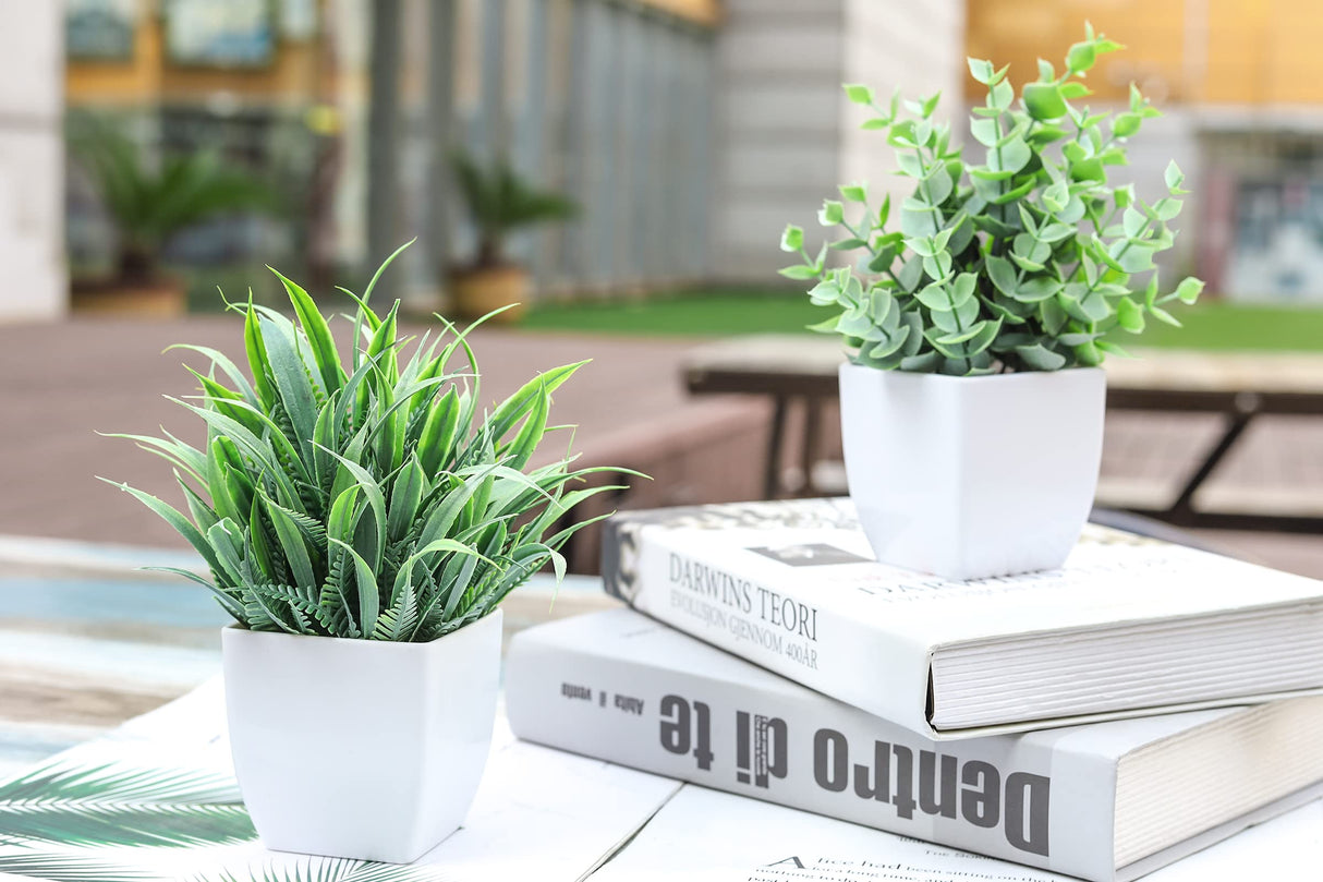 Der Rose 2 Pack Small Fake Plants Mini Artificial Potted Plants for Table Desk Home Laundry Room Bathroom Office Decor Der Rose