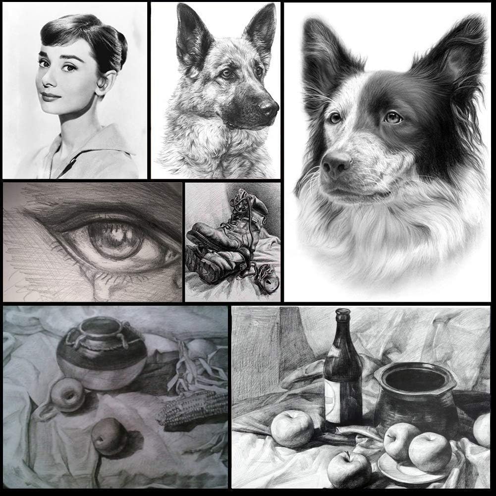 Wonwood_direct Sketching Drawing Pencils Set,14 Pack Drawing Supplies, 8B 7B 6B 5B 4B 3B 2B B H HB 2H F Graphite Pencils for Artists Beginner, Ideal for Sketching and Shading Wonwood_direct