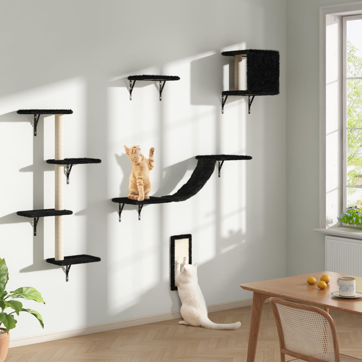 COZIWOW Wall Mounted Cat Furniture, Cat Wall Shelves and Perches, Floating Cat Shelves for Wall Set of 5 (Black) COZIWOW