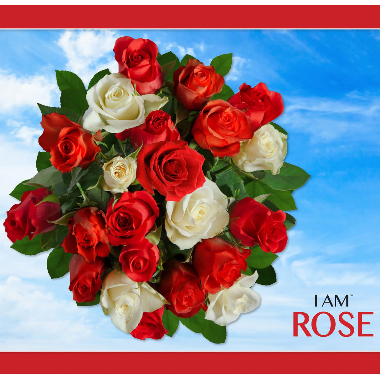 Madd Capp: I Am Rose - 350 Piece Jigsaw Puzzle- 8003 – Ages 10+, Unique Floral-Shaped Border, Challenging Random Cut, Includes Educational Madd Capp Fun Facts Madd Capp