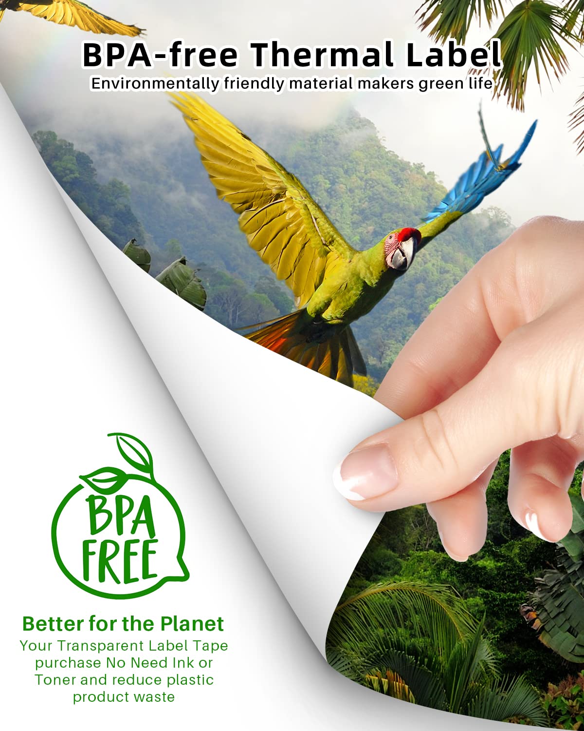 Phomemo Thermal Printer Paper 8.5 x 11 Inch, Advanced Thermal Printing, Thermal Paper Compatible with M08F-Letter, M832, M834, MT800, with Brother Letter Portable Printer, Size 8.5" x 11", 100 Sheets Phomemo