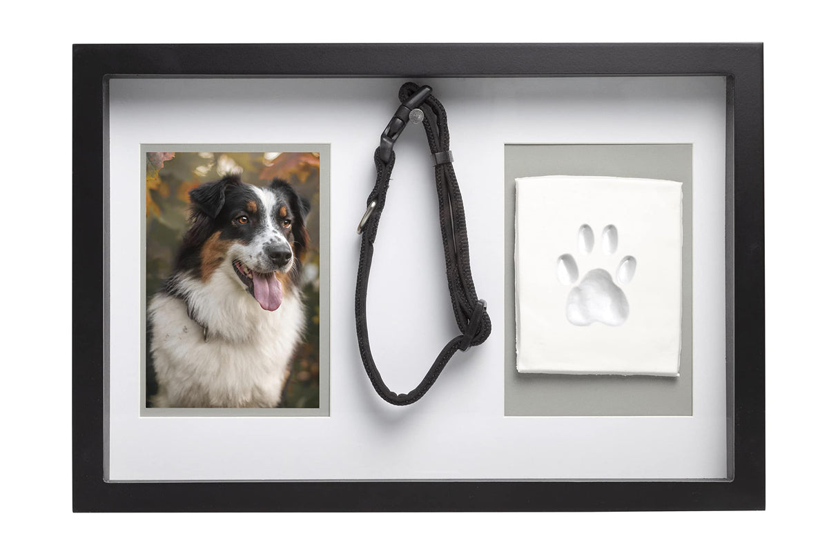 Pearhead Pawprints Collar Frame, Pet Keepsake Photo Frame, Clay Pawprint and Collar Frame, Pet Memorial Picture Frame Pearhead