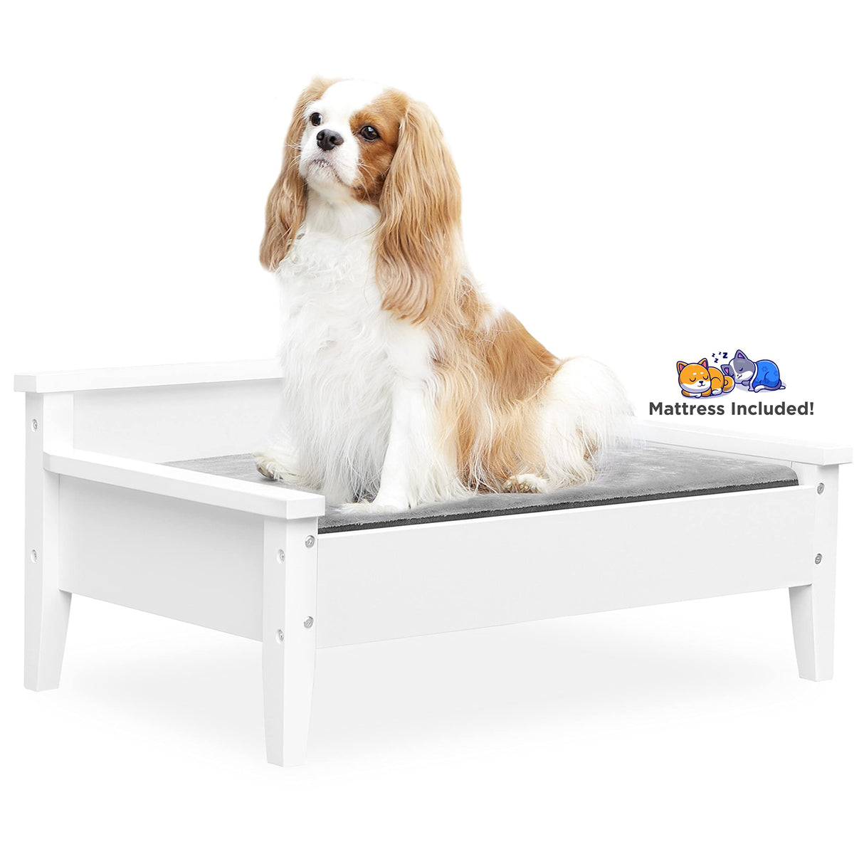 TailZzz Wooden Dog Bed with Water-Resistant Mattress, Small to Medium Elevated Pet Bed with Calming Pet Mattress, Greenguard Gold Certified, Modern Dog Couch, Winston, White TailZzz