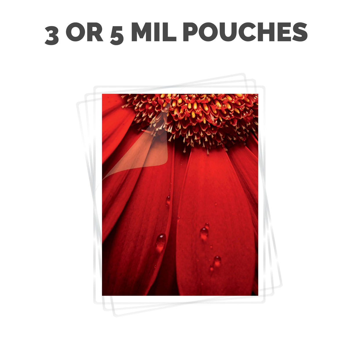 Fellowes Saturn 3i 125 Thermal Laminator Machine for Home or Office with Pouch Starter Kit, 12.5 inch, Fast Warm-Up, Jam-Free Design (5736601) Fellowes