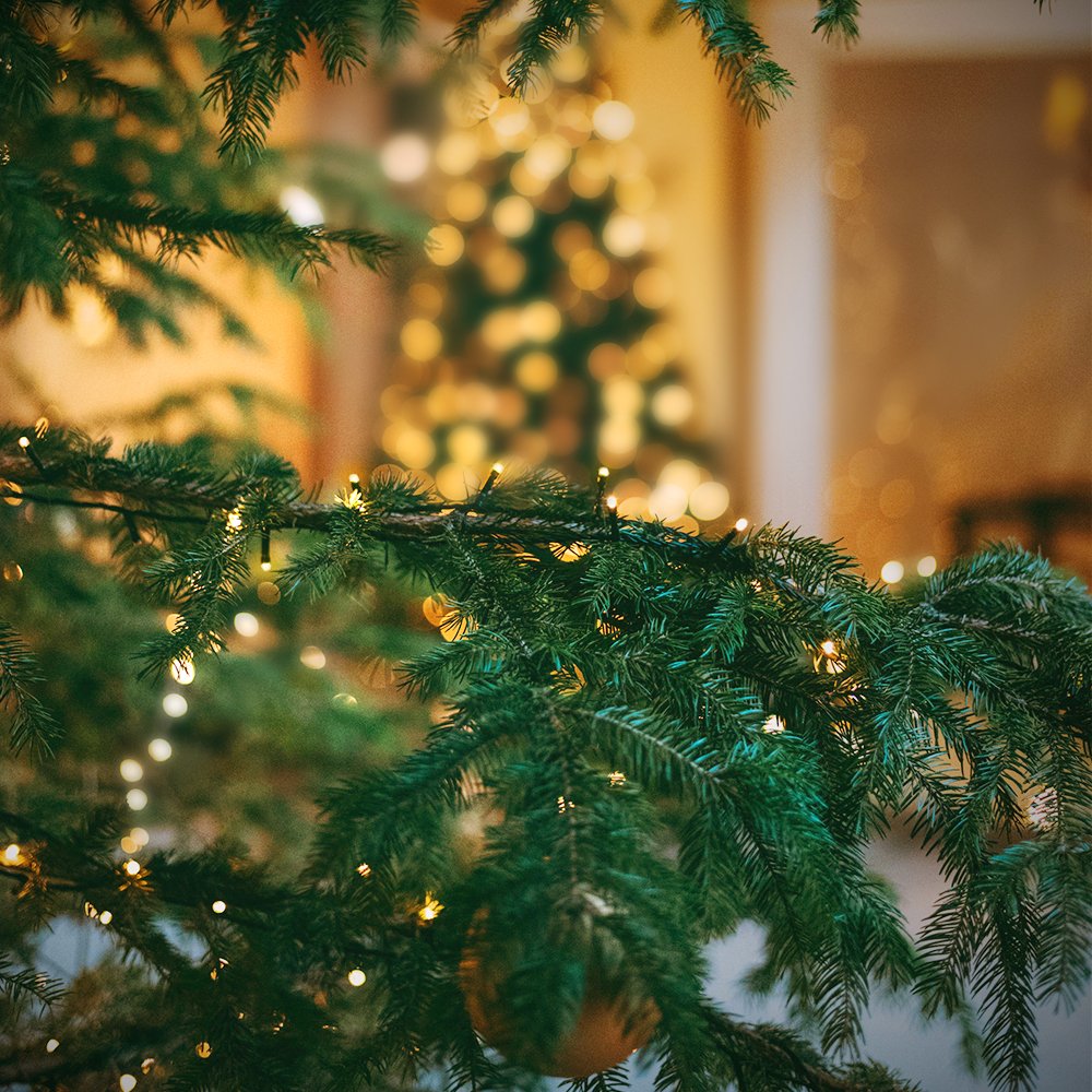 XTF2015 336ft 1000 LED Christmas Long String Lights, 8 Lighting Modes Waterproof Christmas Tree Lights Outdoor Indoor Fairy Lights for Patio, Garden, Party, Wedding, Holiday Decorations (Warm White) XTF2015