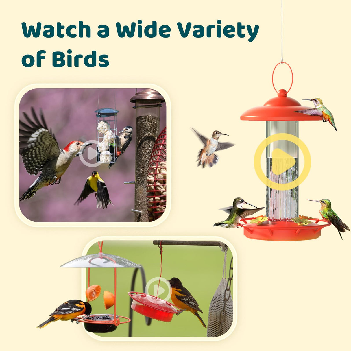 NETVUE by Birdfy Smart Bird Feeder Camera, Adjustable Brackets, Auto Bird Video Capture, Instant Notifications, AI Identify 6000+ Species NETVUE