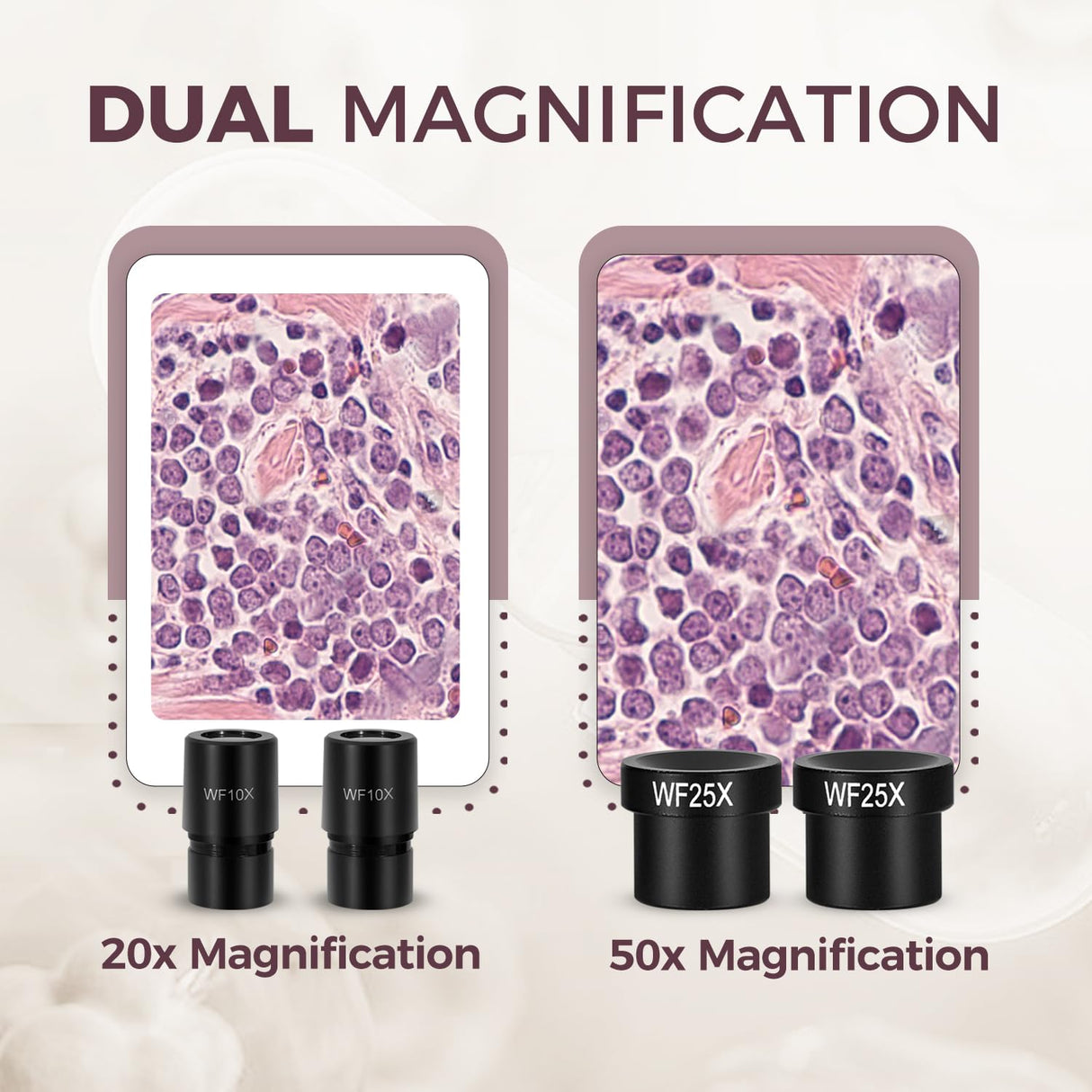 ESAKO Dual LED Kids Microscope - 52+ Piece Science Kit with Mineral & Insect Specimens, 10 Prepared Slides & 10 DIY Blank Slides, Microscope kit for Kids 8-12 ESAKO