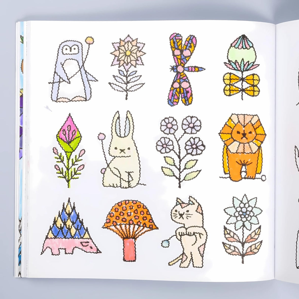 Woodland Kingdom Coloring Book: 65+ Whimsical Designs for Creativity & Relaxation (Coloring Art)