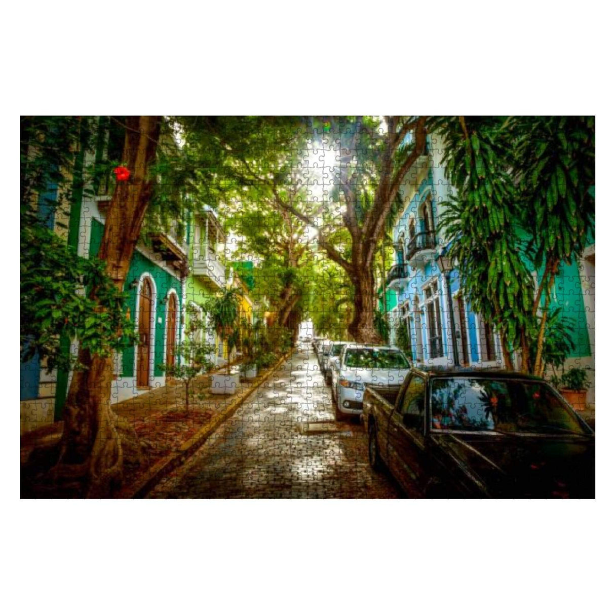 Beautiful Street Full of Trees in Old san Juan Puerto rico Puerto 1000 Piece Wooden Jigsaw Puzzle DIY Children Educational Puzzles Adult Decompression Gift Creative Games Toys Puzzles Home Decor Victoria Kay