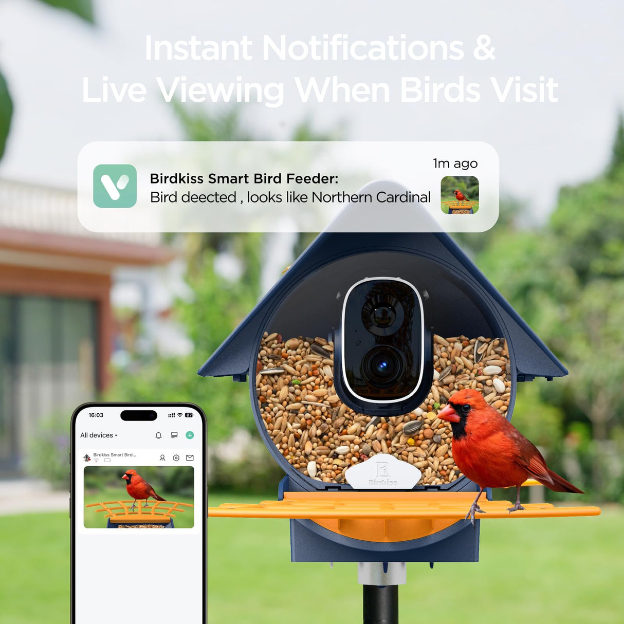 Birdkiss Smart Solar Feeder Camera: AI Identify WiFi Camera with Auto Bird Video Capture & Instant Notifications, Ideal Bird Lover Gift Birdkiss