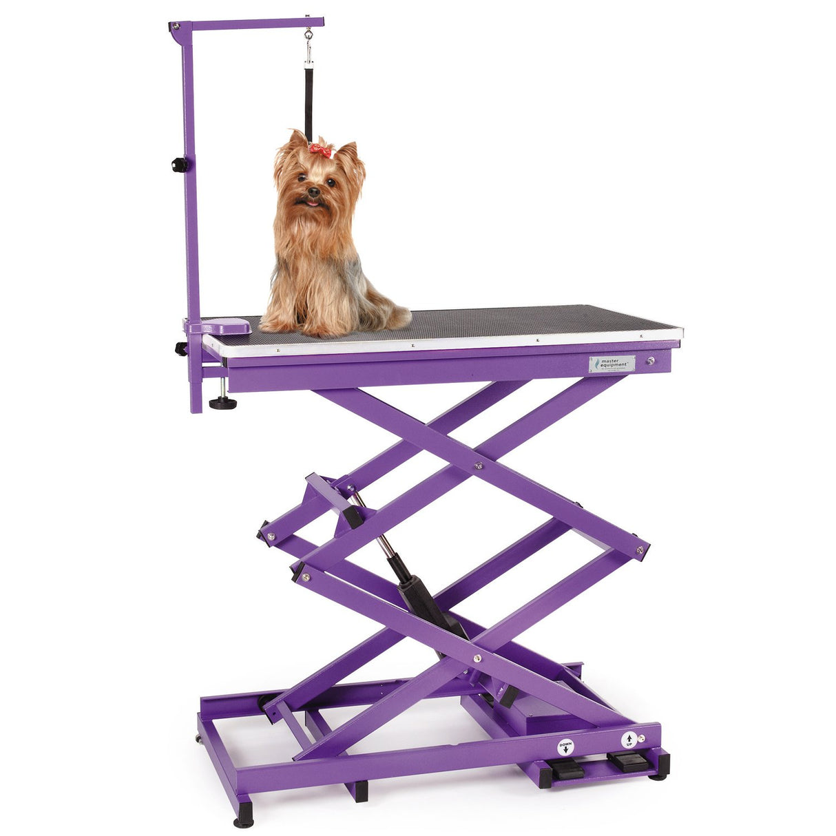 Master Equipment Master Equip Xtend Electric Grooming Table, Purple Master Equipment