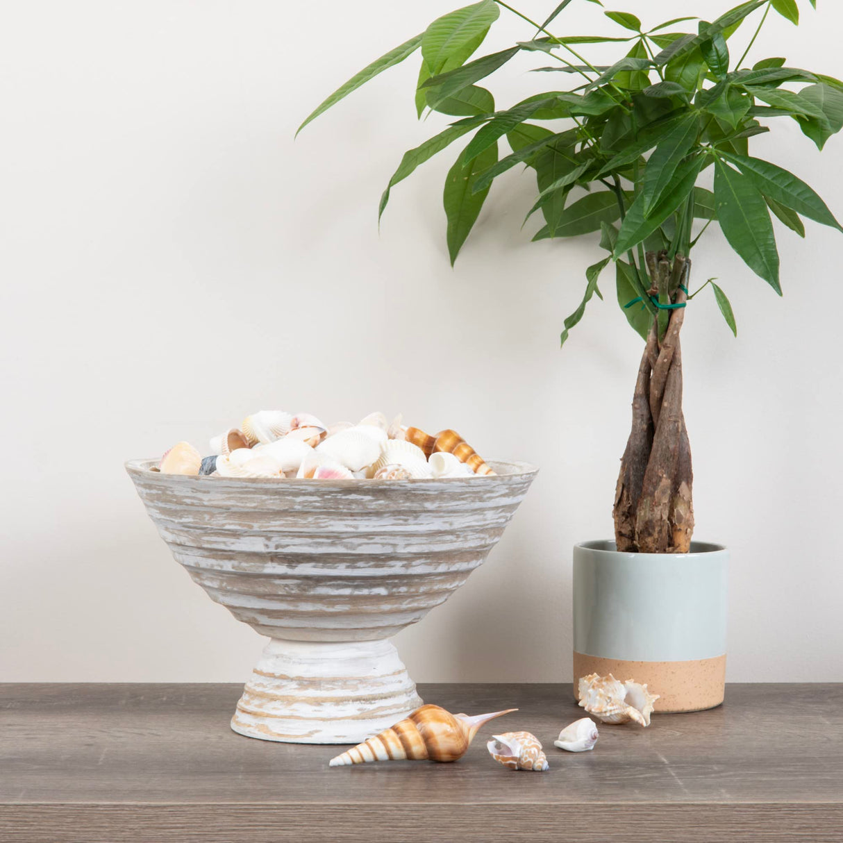 Creative Co-Op Boho Wood Pedestal Serving, White Wash Finish Bowl Creative Co-Op