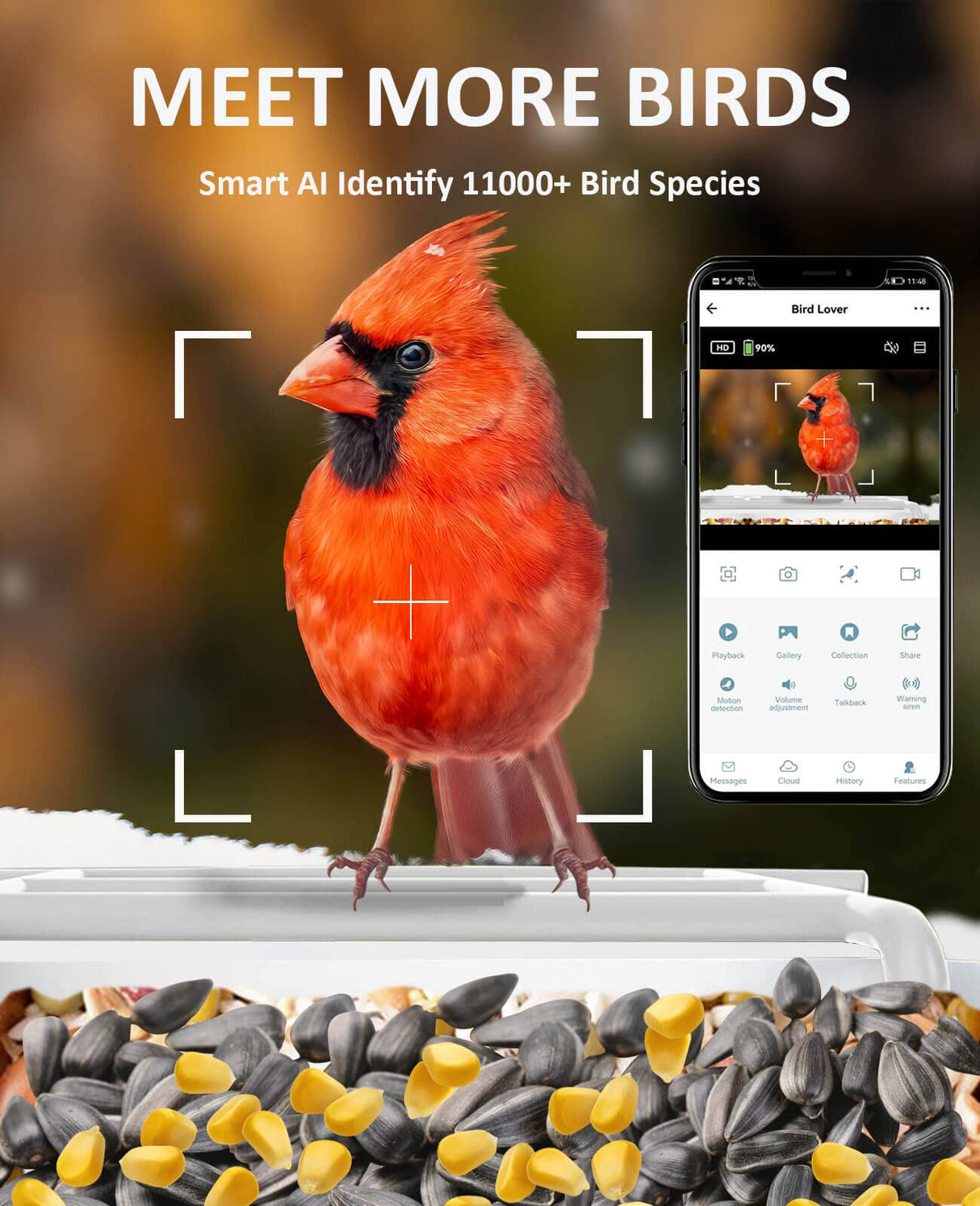 Smart Bird Feeder with Camera Wireless Outdoor, Feeders for Outside, Solar Energy Generation, 1080P HD, APP Connection, IP65 Waterproof, AI Identify GOUHOME