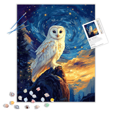 ARNLRDYA White Feather Owl Paint by Number for Adults, Snowy Owls Paint by Numbers Kits, Starry Sky Funny Acrylic Painting for Gift Home Decor(16×20inches, No Frame)