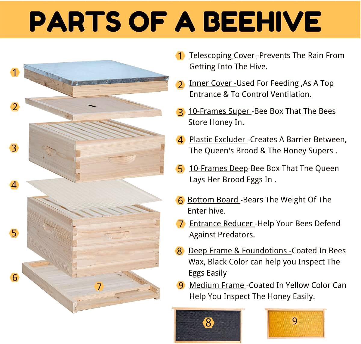 POLLIBEE Beehive 10-Frame Bee Hives and Supplies Starter Kit, Honey Bee Hives Includes 1 Deep Bee Box 1 Medium Bee Hive Box with Beehive Frames and Beeswax Coated Foundation Sheet POLLIBEE